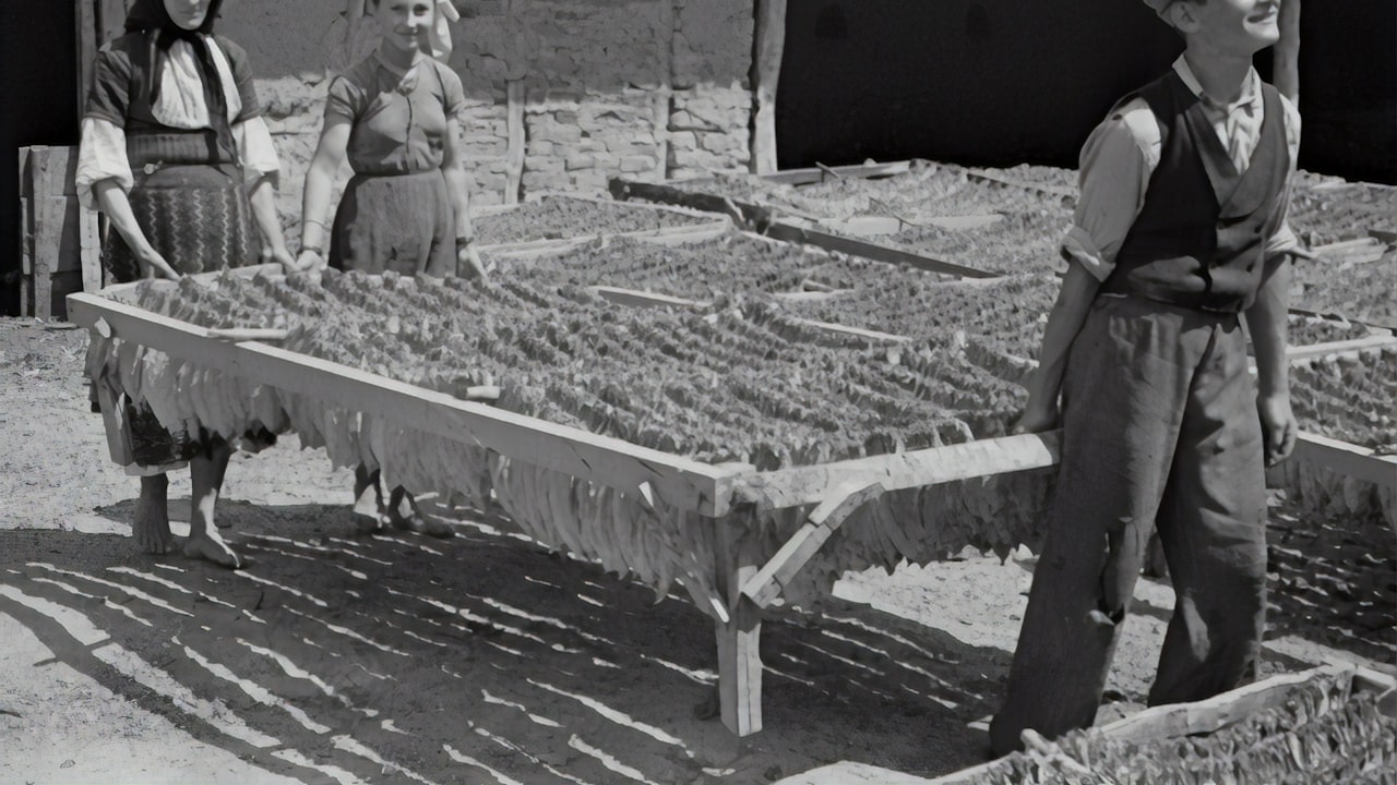 Issues to Avoid When Dealing with CNC Machinery