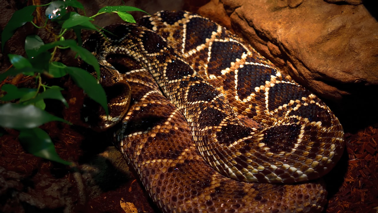 The Main Impressive Qualities Of Forged Automobile Parts